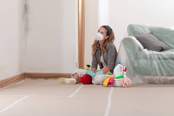 Reliable Mold Remediation contractor in Akron, CO by 24 Hour Mold Removal